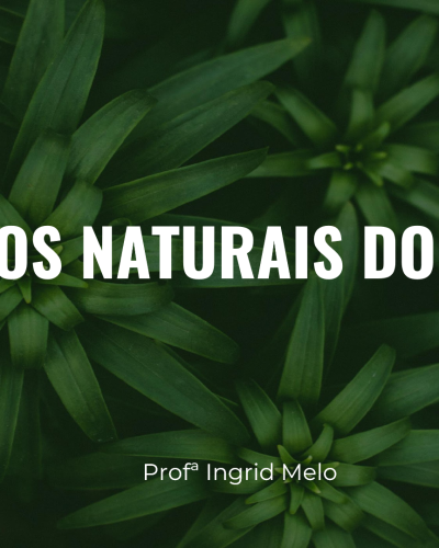 Captura de Tela (164)