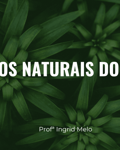 Captura de Tela (164)