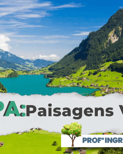 Captura de Tela (47)